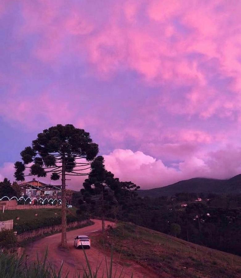 Hospedagem Vo Rosa Monte Verde  Eksteriør billede